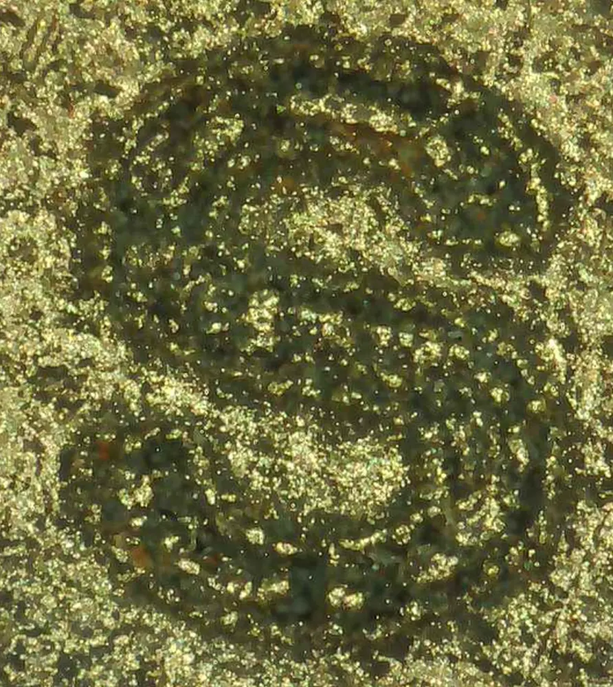 Bei maximaler Vergrößerung sieht man die unbeschädigte Gravur